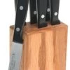Wusthof Gourmet - 7 Pc. Steak Knife Block Set- Personalized Engraving Available -Knife Shop B00006NSZ3